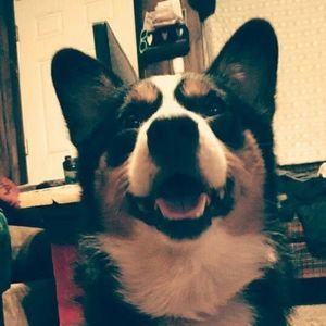 Meet your Posher, Coji